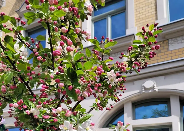 Wohnen Auf Zeit - Naehe Klinikum Apartamento